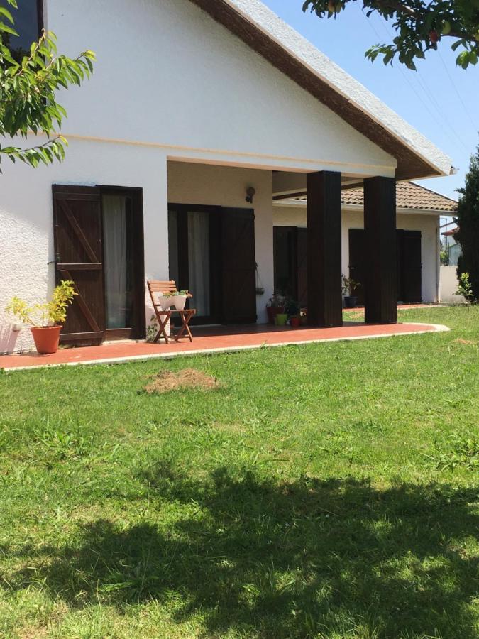 Happy Ria House Otel Chousa Velha Dış mekan fotoğraf